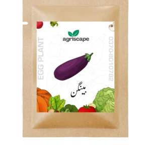 brinjal-seed-packet-kitchen-gardening