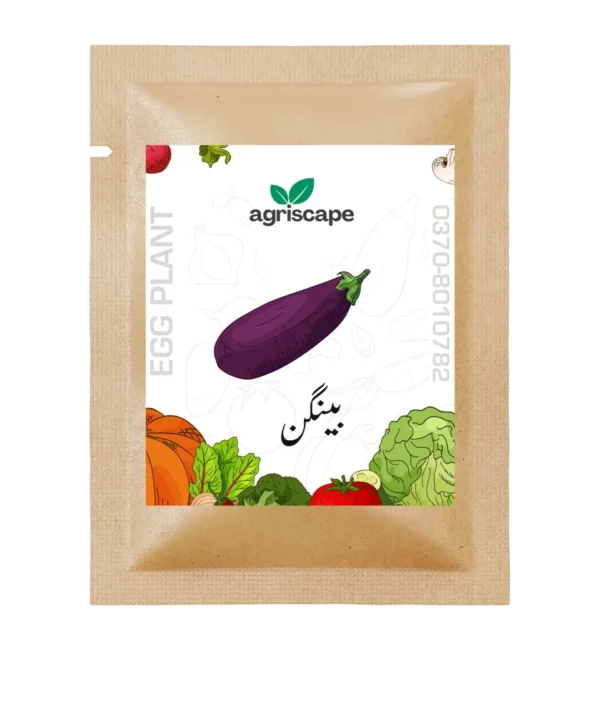 brinjal-seed-packet-kitchen-gardening