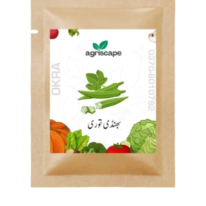 okra-seed-packet-kitchen-gardening