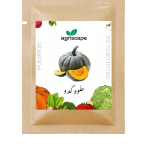 Pumpkin Seed Packet for Kitchen Gardening