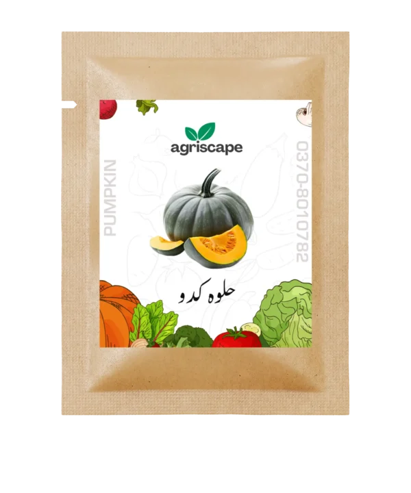Pumpkin Seed Packet for Kitchen Gardening