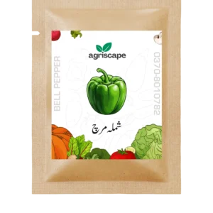 shimla-bell-pepper-seed-packet-kitchen-gardening