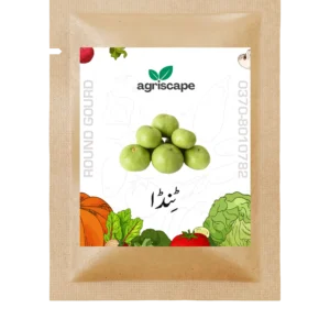 tinda-seed-packet-kitchen-gardening