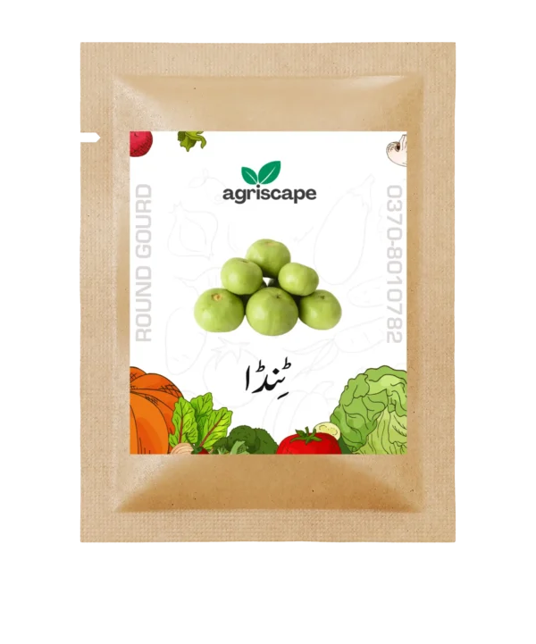 tinda-seed-packet-kitchen-gardening